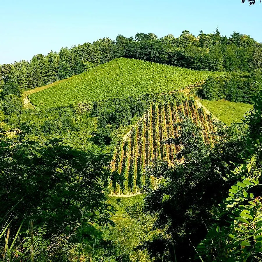 Alloggio per agriturismo Agriturismo Le Lucciole Bertinoro