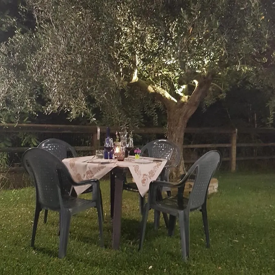 Alloggio per agriturismo Agriturismo Le Lucciole Bertinoro Italia